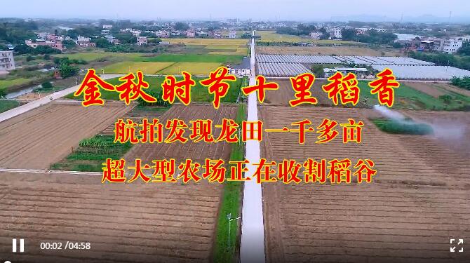 金秋時(shí)節(jié)十里稻香，航拍發(fā)現(xiàn)龍?zhí)镆磺Ф喈€超大型農(nóng)場(chǎng)正在收割稻谷
